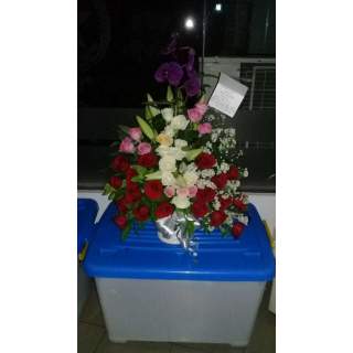 BM 011 Mawar