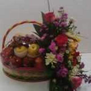 PCL 008 Buah